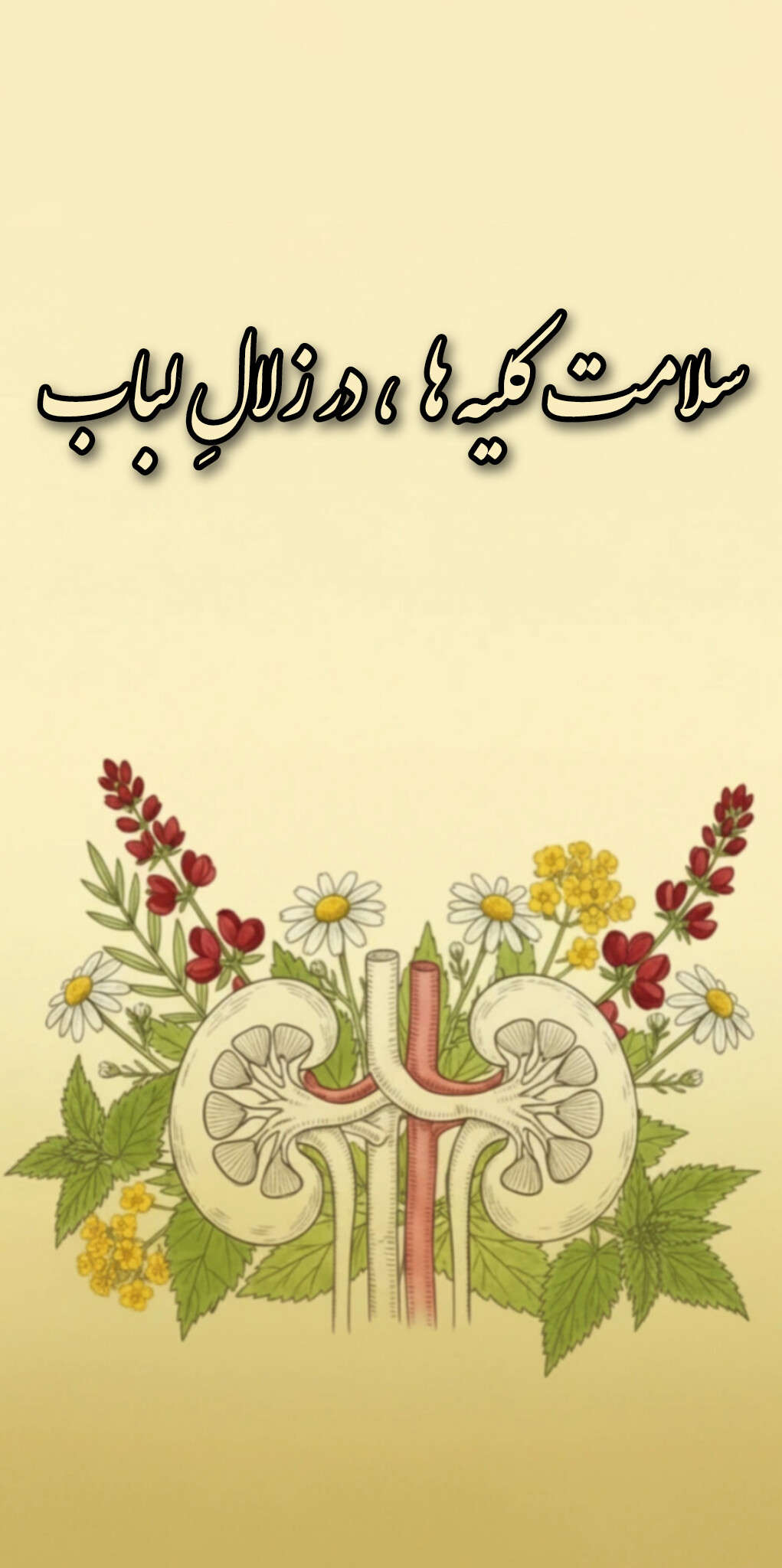 خرید عرقیات تصفیه کننده کلیه و رفع سنگ کلیه