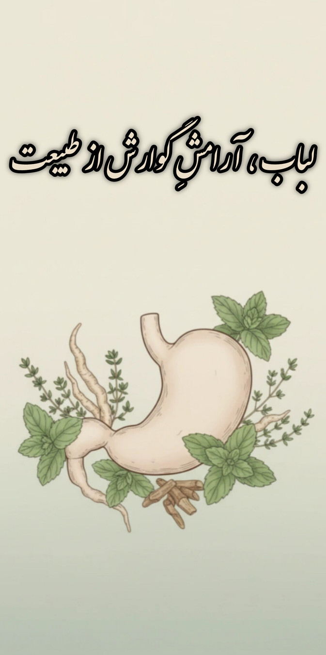 خرید عرقیات مناسب برای هضم غذا و از بین برنده نفخ معده