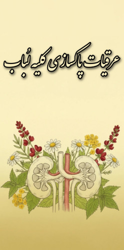 خرید عرقیات تصفیه کننده کلیه و رفع سنگ کلیه