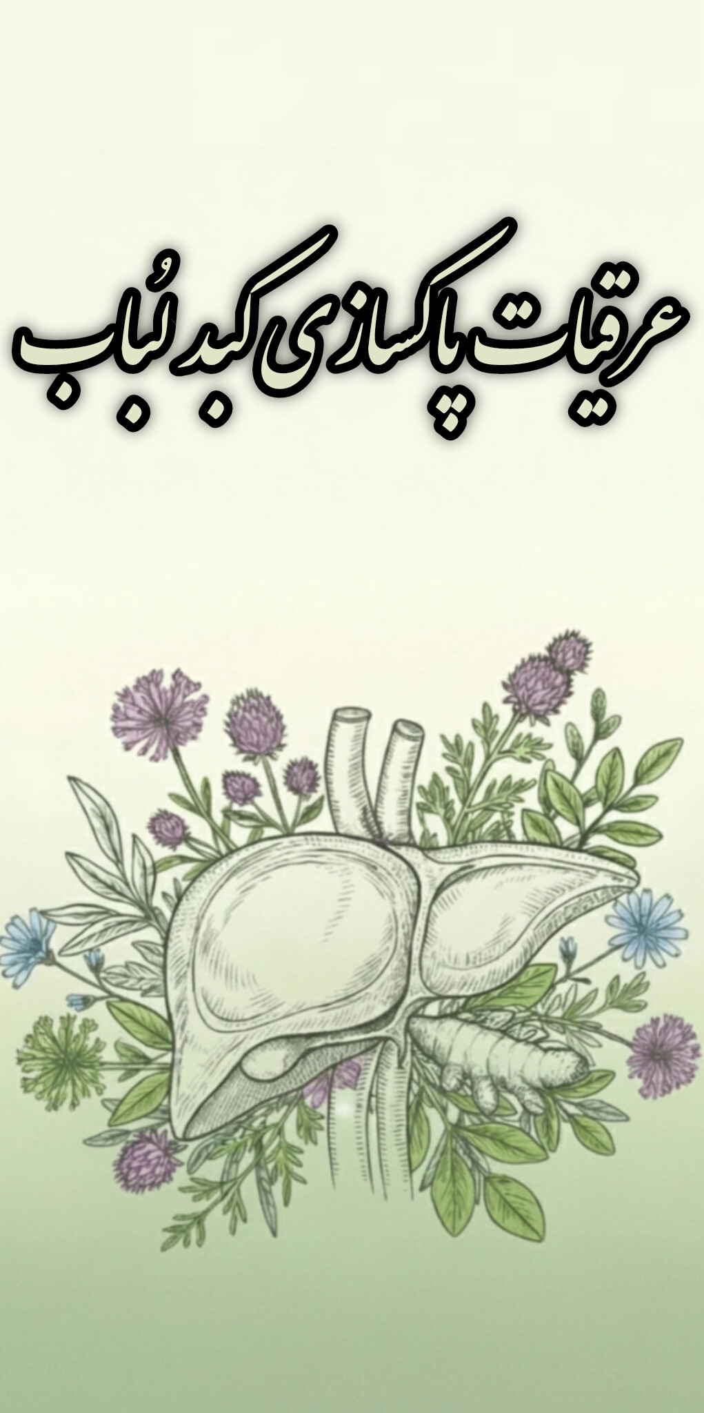 خرید عرقیات مناسب جهت کبد چرب