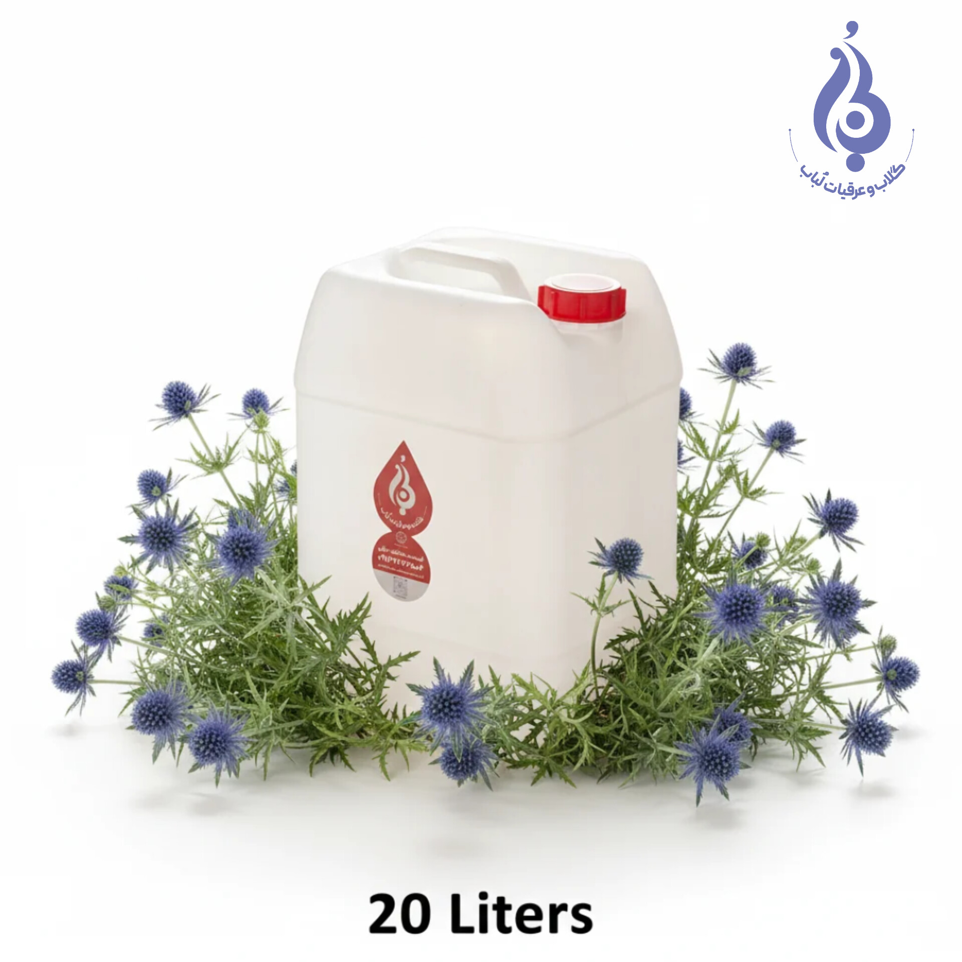 خرید عمده گالن ۲۰ لیتری عرق بوقناق ارگانیک لباب برای پخش و صادرات ـ Wholesale 20L eryngo distillate by Lobab ـ for export and distribution
