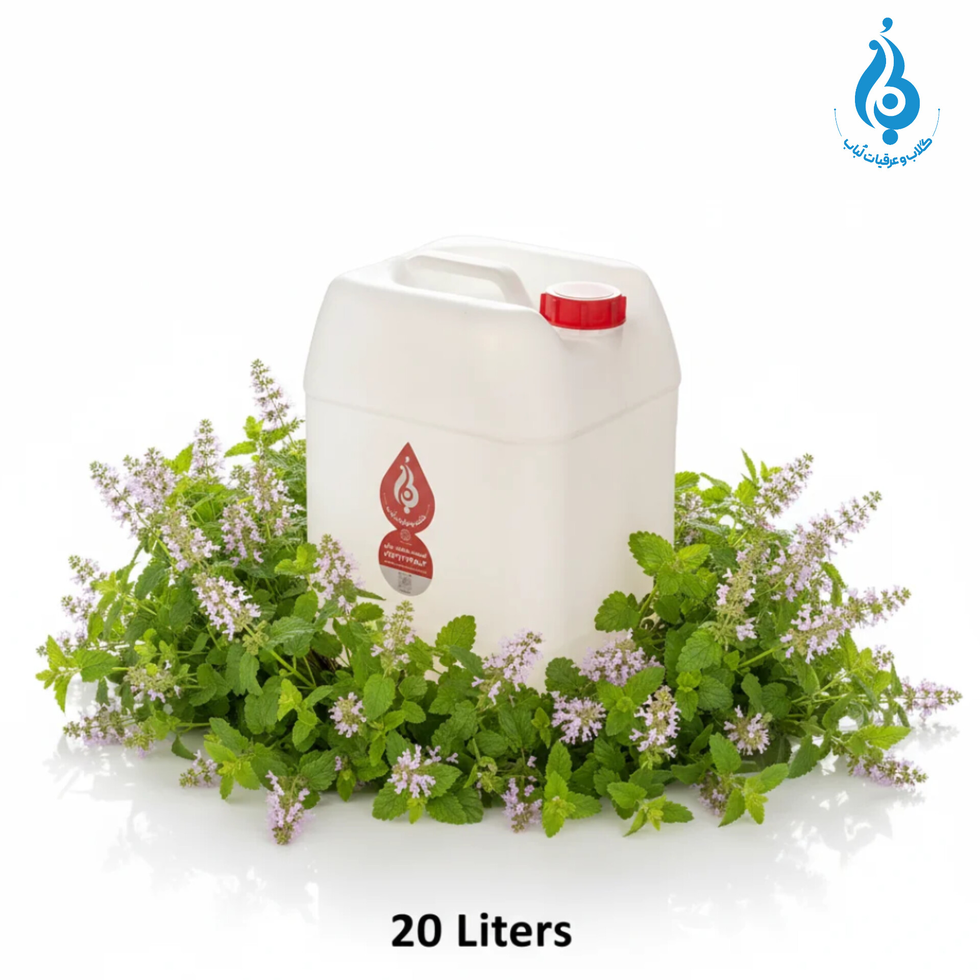 خرید عمده گالن ۲۰ لیتری عرق بادرنجبویه ارگانیک لباب برای پخش و صادرات ـ Wholesale 20L lemon balm distillate by Lobab Kashan ـ for export and distribution
