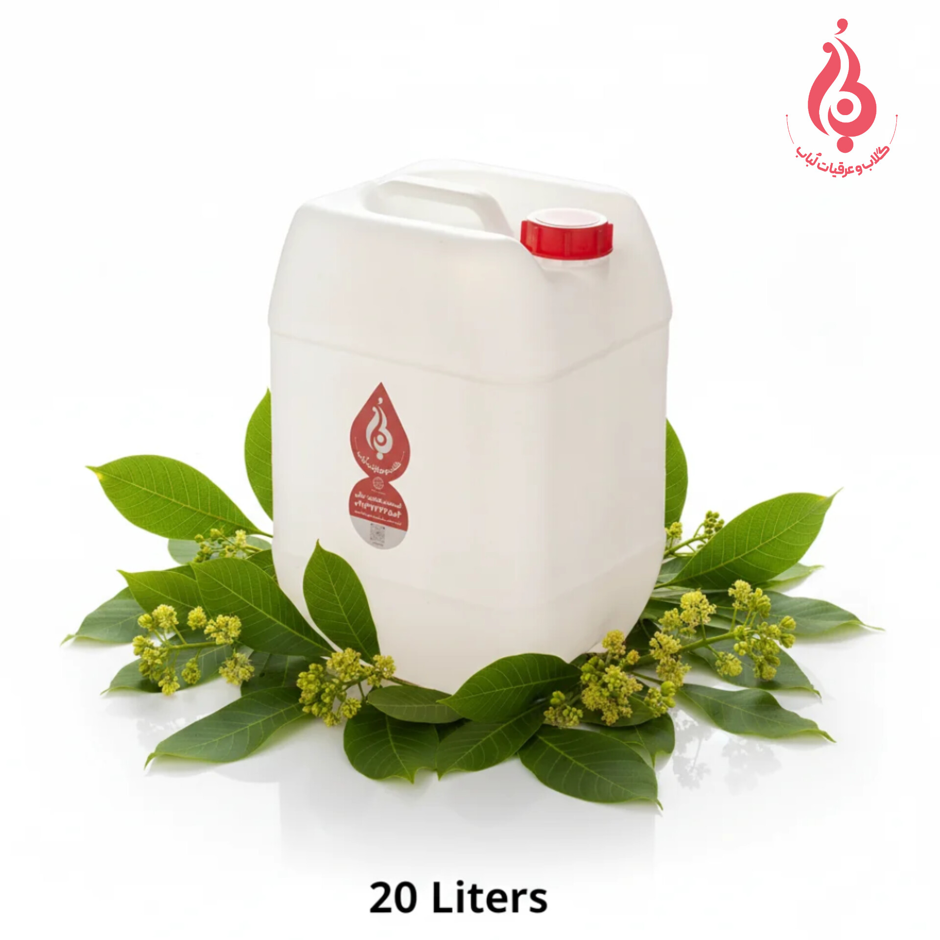 خرید عمده گالن ۲۰ لیتری عرق برگ گردو ارگانیک لباب برای پخش و صادرات ـ Wholesale 20L walnut leaf distillate by Lobab ـ for distribution and export