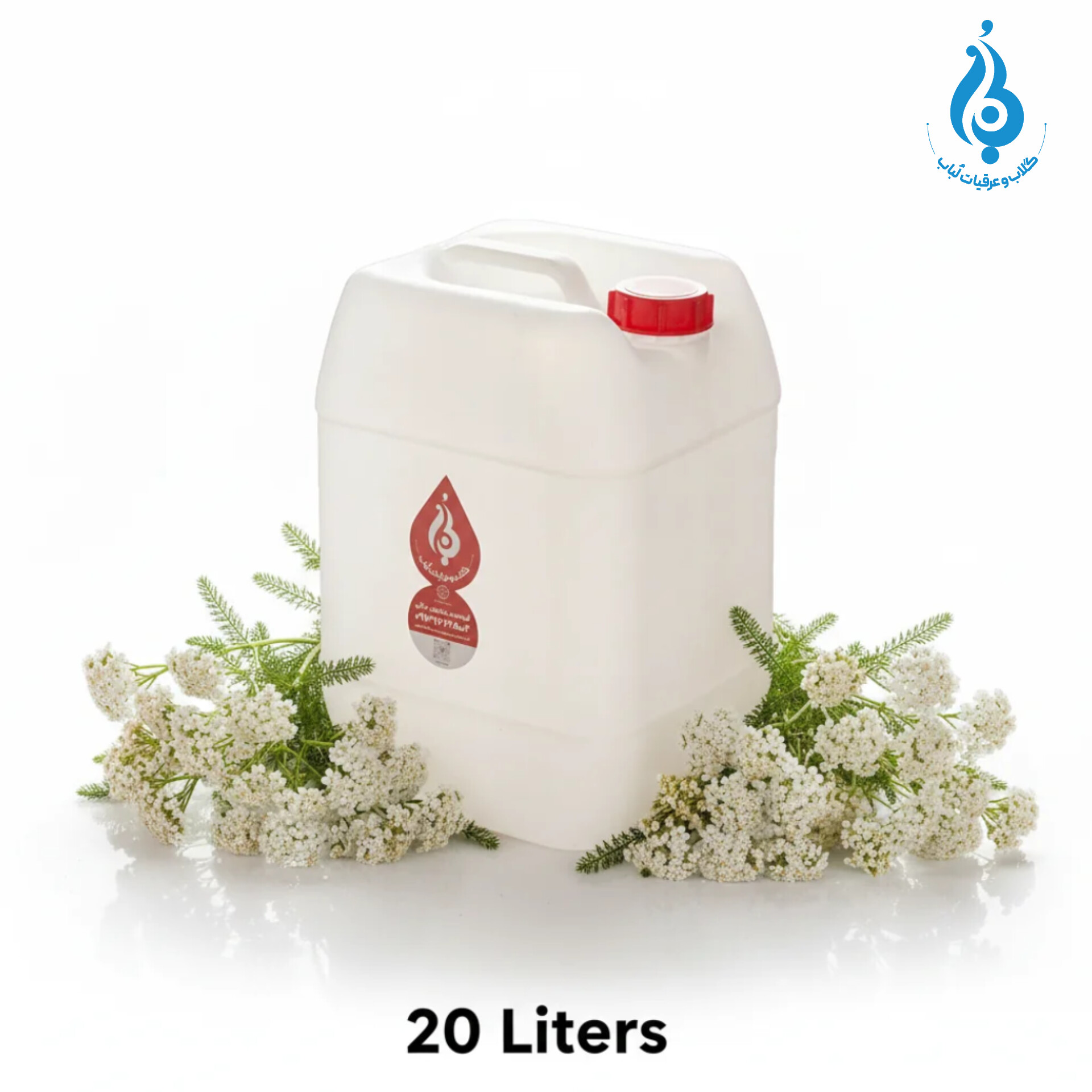خرید عمده گالن ۲۰ لیتری عرق بومادران ارگانیک لباب برای پخش و صادرات ـ Wholesale 20L yarrow distillate by Lobab ـ for distribution and export