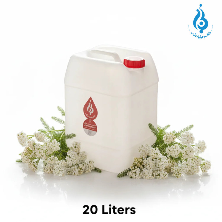 خرید عمده گالن ۲۰ لیتری عرق بومادران ارگانیک لباب برای پخش و صادرات ـ Wholesale 20L yarrow distillate by Lobab ـ for distribution and export
