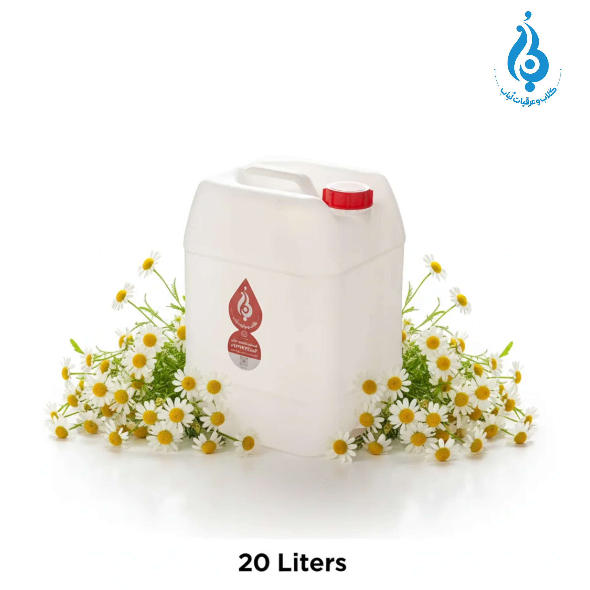 خرید عمده گالن ۲۰ لیتری عرق بابونه ارگانیک لباب برای پخش و صادرات ـ Wholesale 20L chamomile distillate by Lobab ـ for distribution and export