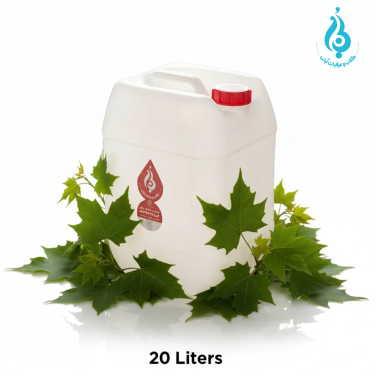 خرید عمده گالن ۲۰ لیتری عرق برگ چنار لباب صادراتی خنک و طبیعی ـ Wholesale 20L Plane leaf distillate by Lobab Kashan ـ export cooling herbal tonic