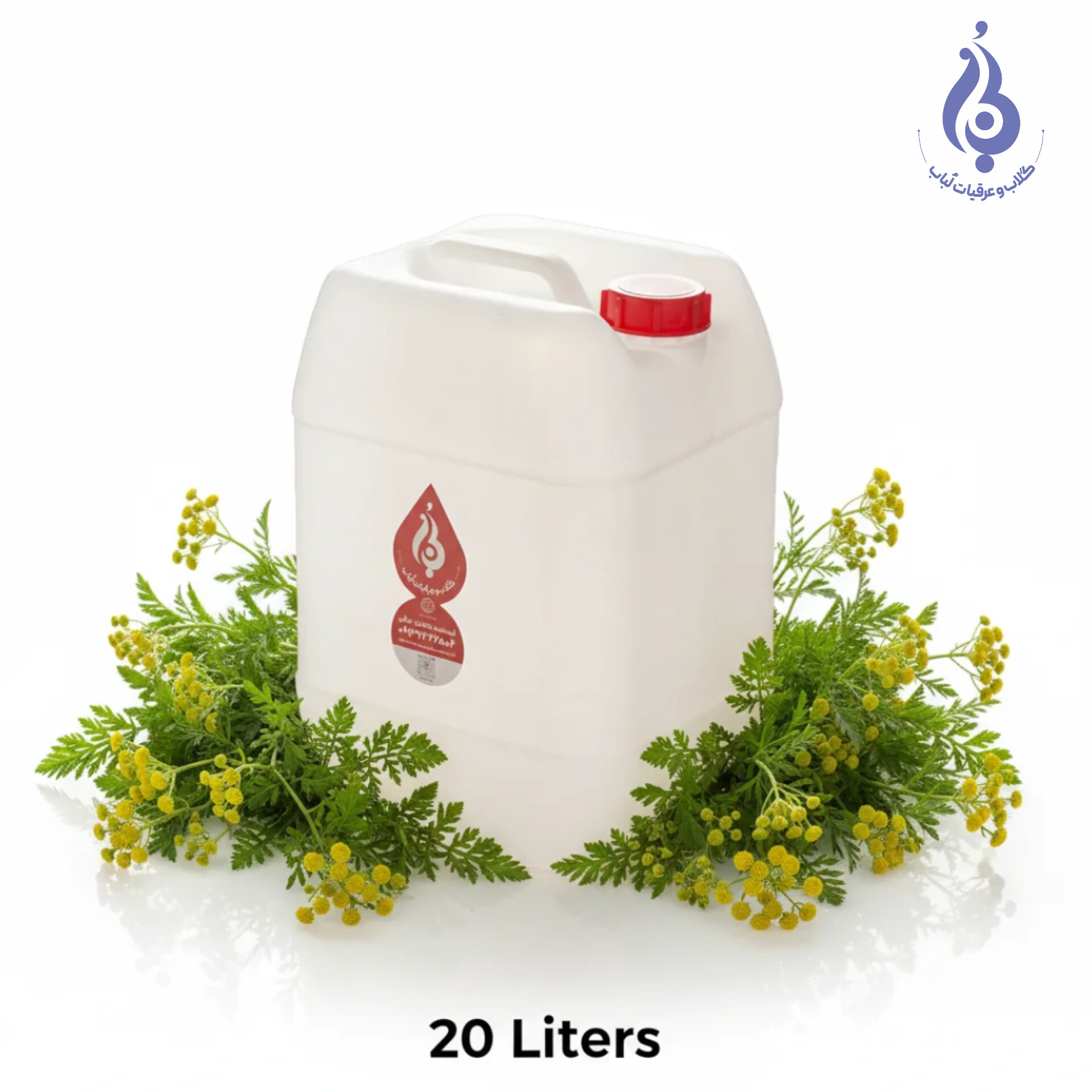 خرید عمده گالن ۲۰ لیتری عرق شاه اسپرم سنگین ارگانیک لباب دوآتیشه و خالص برای معده و حافظه ـ Wholesale 20L organic heavy Spermaceae distillate by Lobab Kashan ـ export digestive herbal tonic