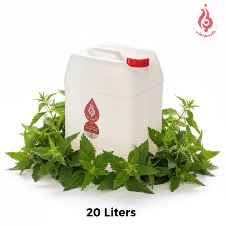 خرید عمده گالن ۲۰ لیتری عرق گزنه سنتی لباب برای پخش و صادرات ـ Wholesale 20L nettle distillate by Lobab ـ for prostate and kidney care