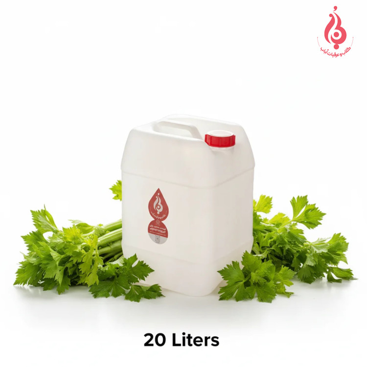 خرید عمده گالن ۲۰ لیتری عرق کرفس ارگانیک لباب برای پخش و صادرات ـ Wholesale 20L celery distillate by Lobab Kashan ـ for export and distribution