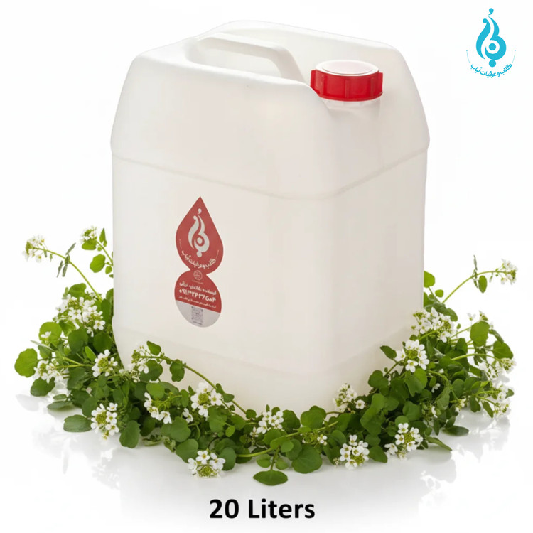 خرید عمده گالن ۲۰ لیتری عرق بولاغوتی سنگین ارگانیک لباب دوآتیشه و خالص تنظیم قند و فشار خون ـ Wholesale 20L organic heavy Watercress distillate by Lobab Kashan ـ export blood cleanser & liver tonic