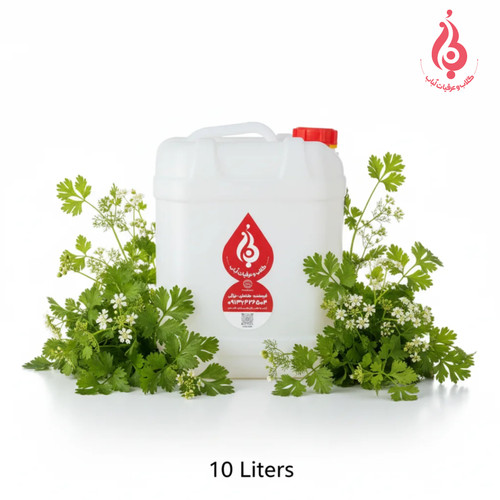 عرق گشنیز ارگانیک لباب دوآتیشه و خالص برای رفع نفخ و خنک کردن معده ـ Organic double‑distilled Coriander distillate by Lobab Kashan ـ anti‑bloating & cooling digestive tonic