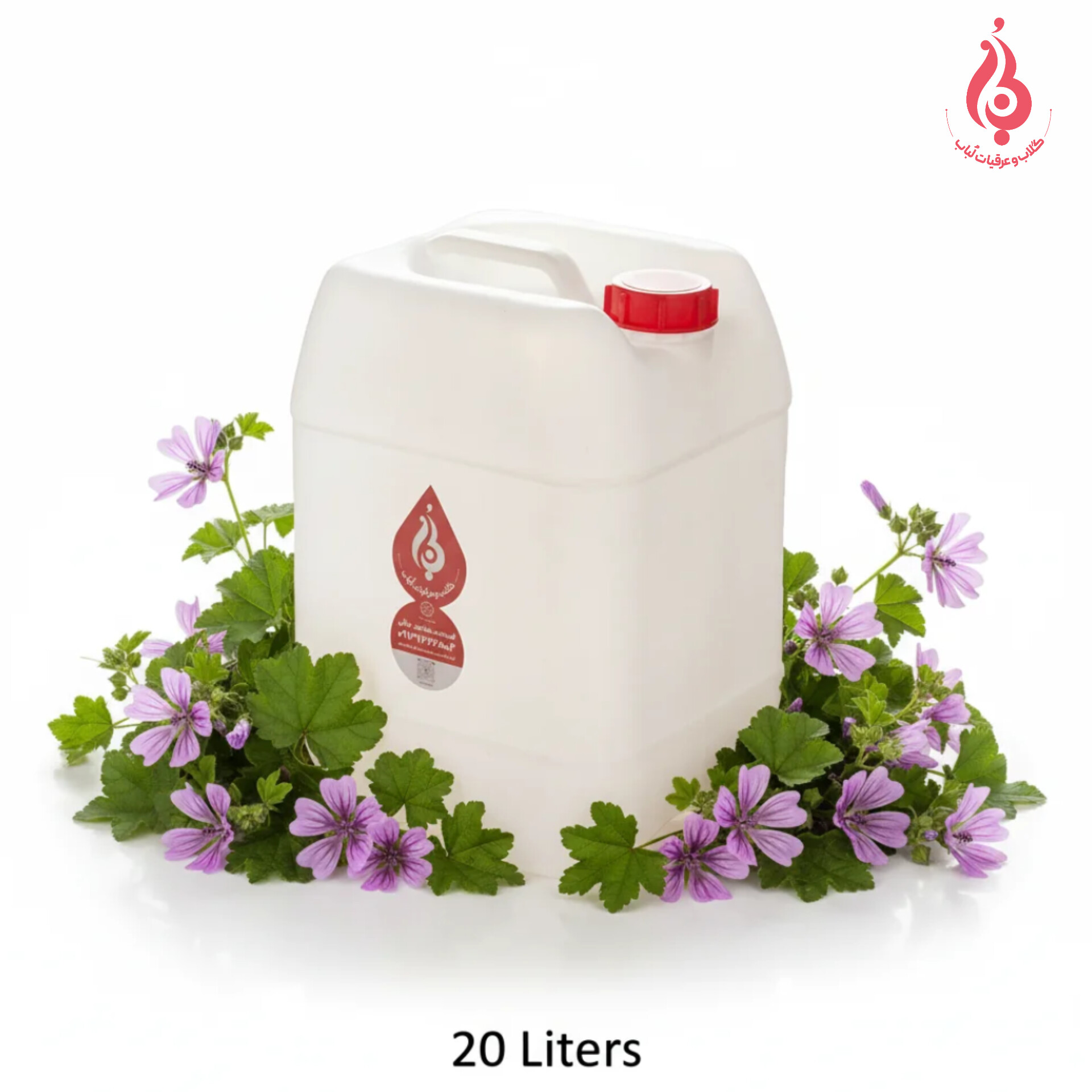 خرید عمده گالن ۲۰ لیتری عرق پنیرک سنگین ارگانیک لباب دوآتیشه و خالص صادراتی نرم‌کننده سینه و ضدسرفه ـ Wholesale 20L organic heavy Mallow distillate by Lobab Kashan ـ export respiratory & cough relief tonic