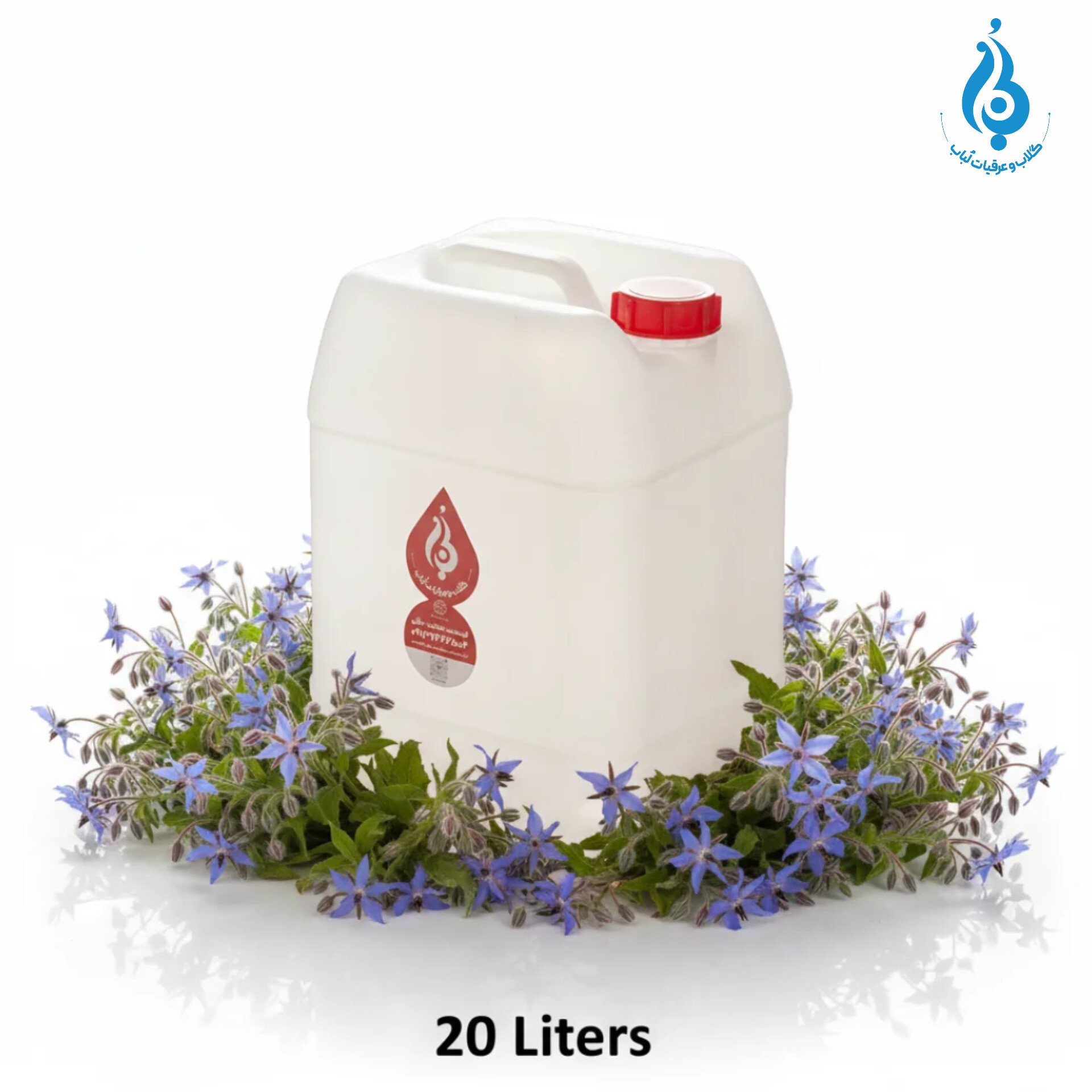خرید عمده گالن ۲۰ لیتری عرق گل گاو زبان ارگانیک لباب مخصوص پخش و صادرات ـ Wholesale 20L borage distillate by Lobab Kashan ـ for export and distribution