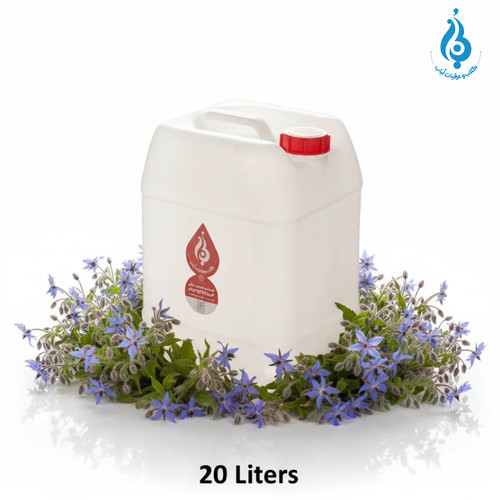 خرید عمده گالن ۲۰ لیتری عرق گل گاو زبان ارگانیک لباب مخصوص پخش و صادرات ـ Wholesale 20L borage distillate by Lobab Kashan ـ for export and distribution