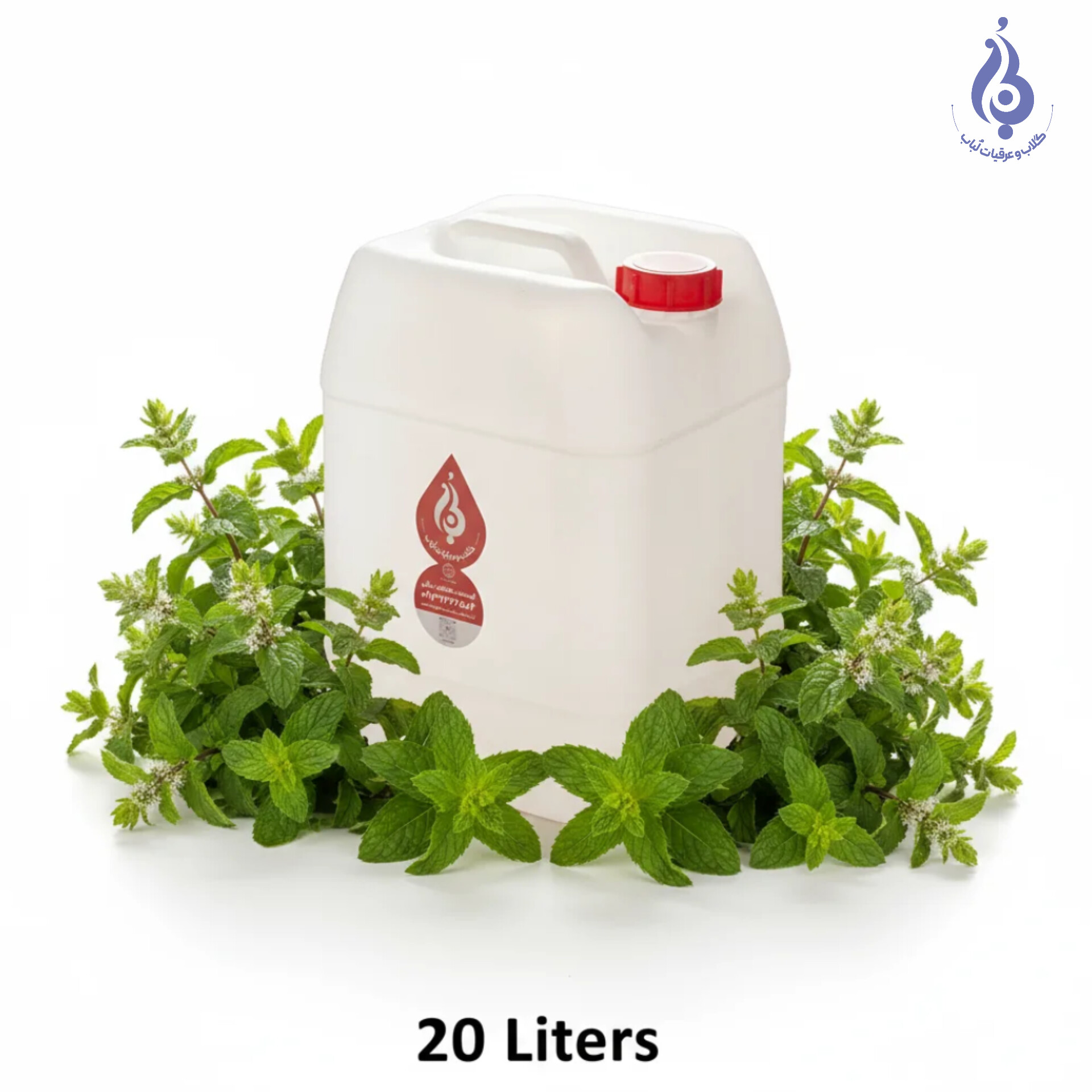 خرید عمده گالن ۲۰ لیتری عرق نعناع فلفلی لباب صادراتی و مخصوص پخش گوارشی ـ Wholesale 20L peppermint distillate by Lobab Kashan ـ export grade digestive tonic