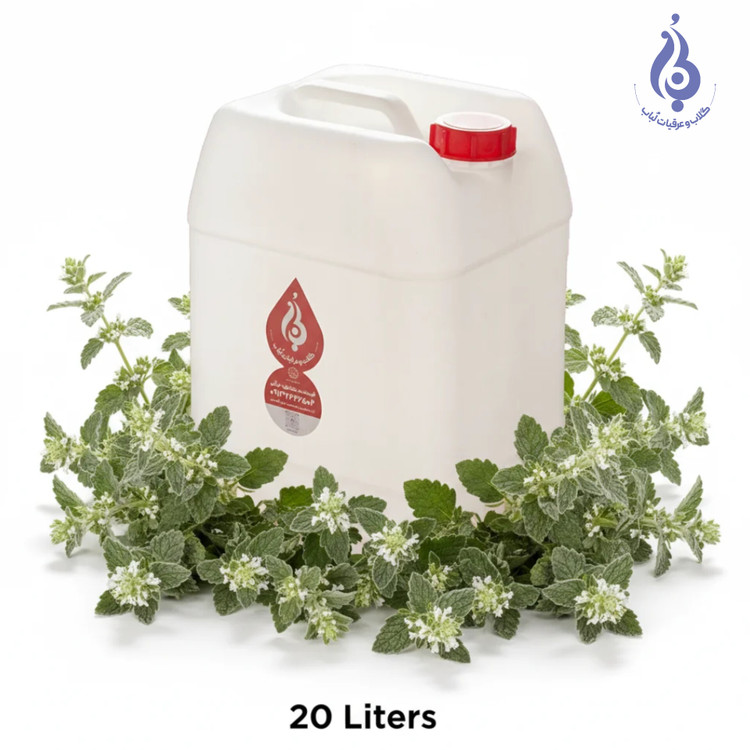 خرید عمده گالن ۲۰ لیتری عرق فراسیون سنگین ارگانیک لباب دوآتیشه و خالص ضدخلط و تقویت ریه ـ Wholesale 20L organic heavy Marrubium distillate by Lobab Kashan ـ export respiratory herbal tonic