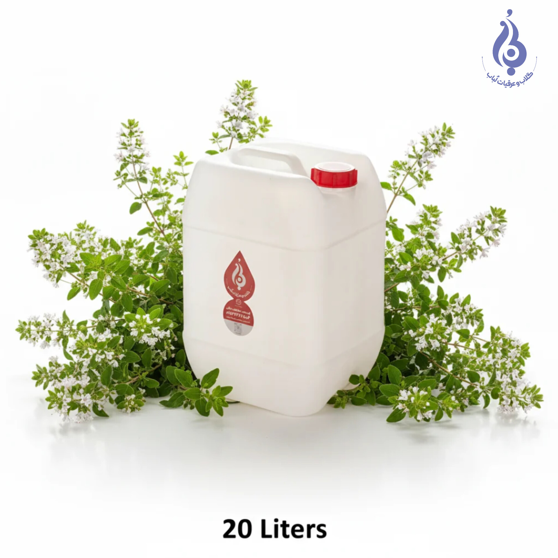 خرید عمده گالن ۲۰ لیتری عرق مرزه سنگین ارگانیک لباب دوآتیشه و خالص ضدنفخ و صادراتی ـ Wholesale 20L organic heavy Summer Savory distillate by Lobab Kashan ـ export digestive & gut tonic