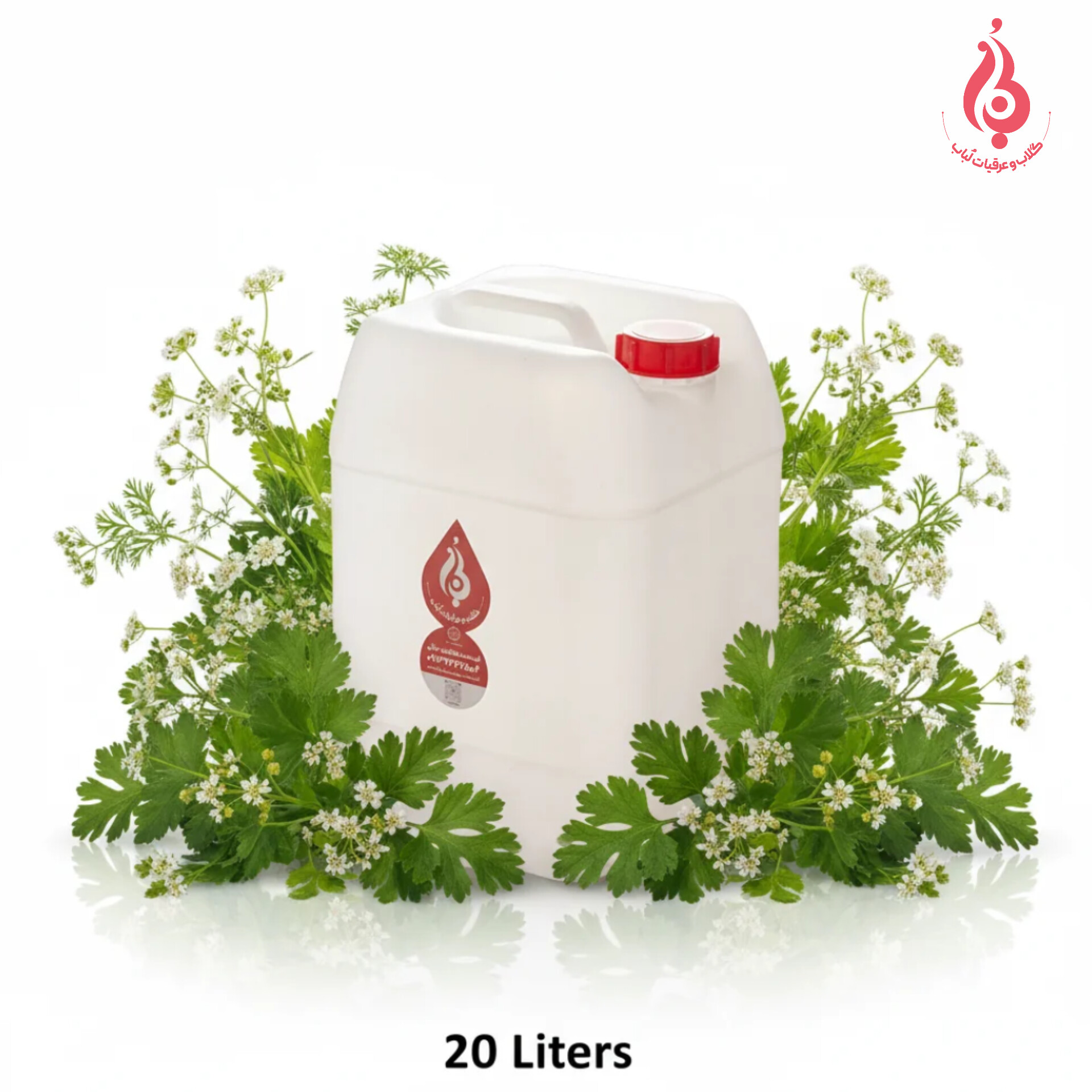 خرید عمده گالن ۲۰ لیتری عرق گشنیز سنگین ارگانیک لباب ـ دوآتیشه و خالص صادراتی خنک‌کننده و ضدنفخ Wholesale 20L organic heavy Coriander distillate by Lobab Kashan ـ export digestive & cooling tonic