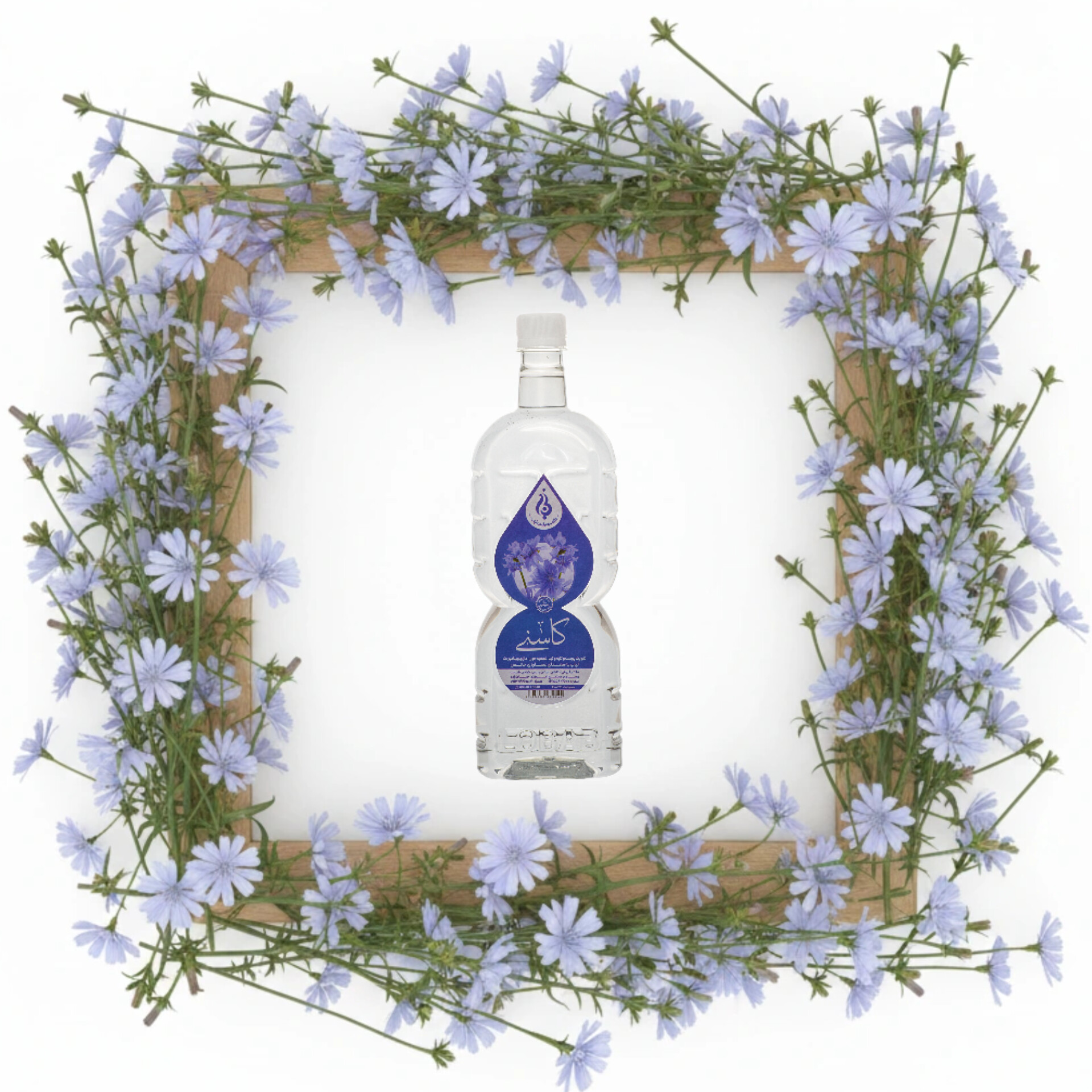 عرق کاسنی سنگین لباب مفید برای کبد چرب و خنککننده بدن ـ Natural wild chicory water by Lobab Kashan ـ cooling tonic and liver detox