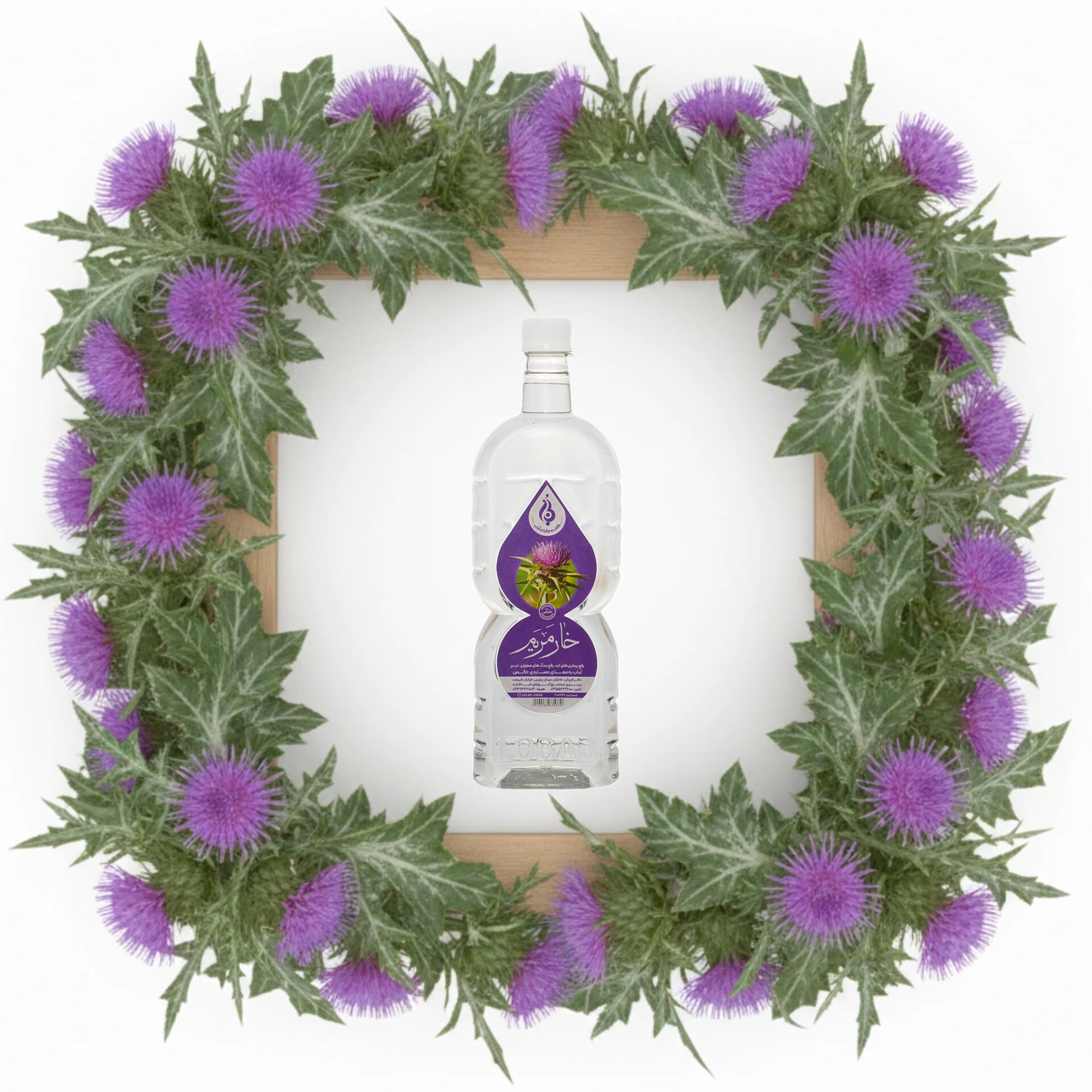 عرق خار مریم اصل لباب دوآتیشه و طبیعی، تقویت‌کنندهٔ کبد و پوست | Organic double‑distilled Milk Thistle water by Lobab for liver and skin care
