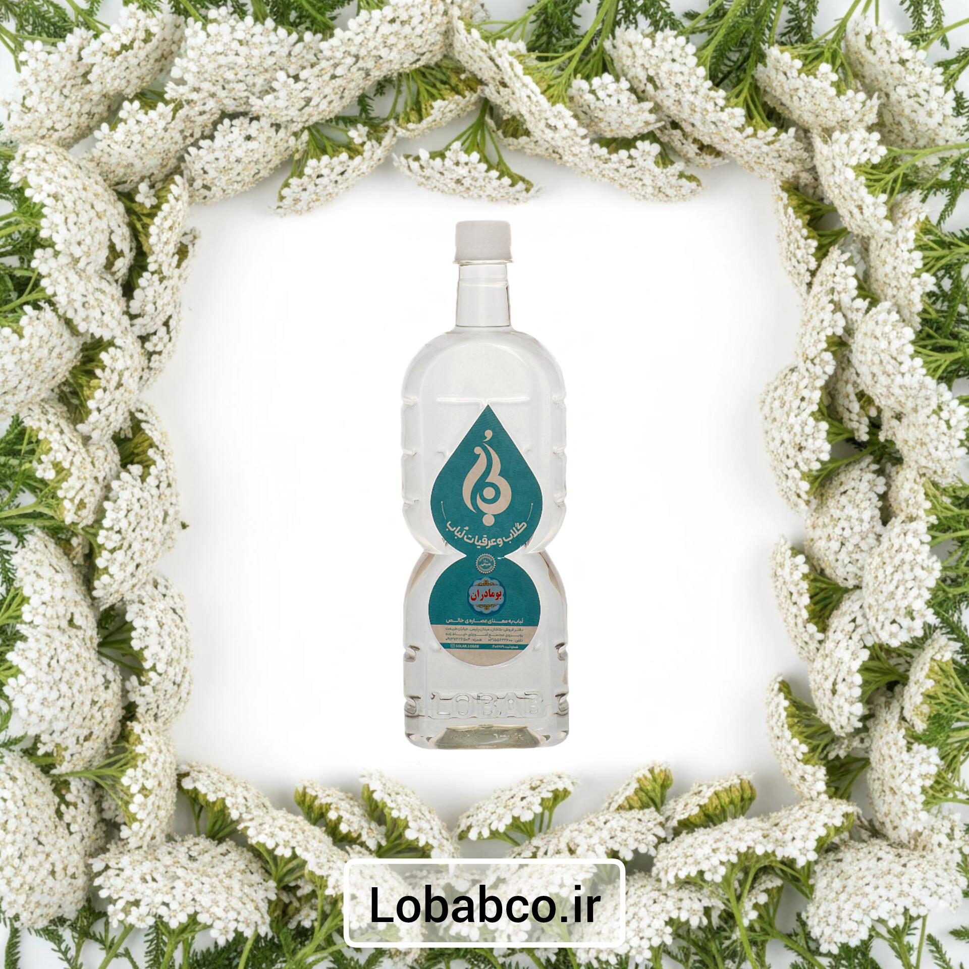 عرق بومادران ارگانیک لباب ضد نفخ و تقویت‌کننده معده ـ Natural yarrow water by Lobab ـ stomach care