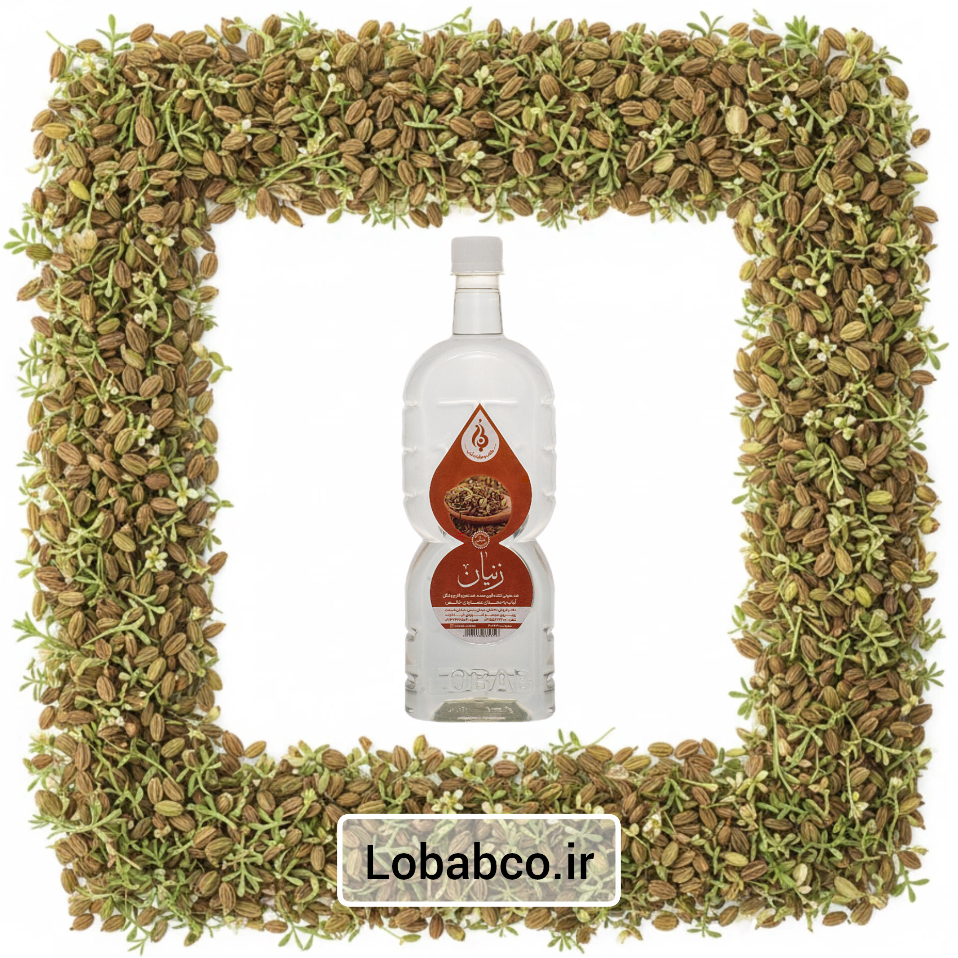 عرق زنیان سنگین لباب مناسب معده و رفع دل‌درد ـ Natural ajwain water by Lobab Kashan ـ stomach comfort and gut health tonic