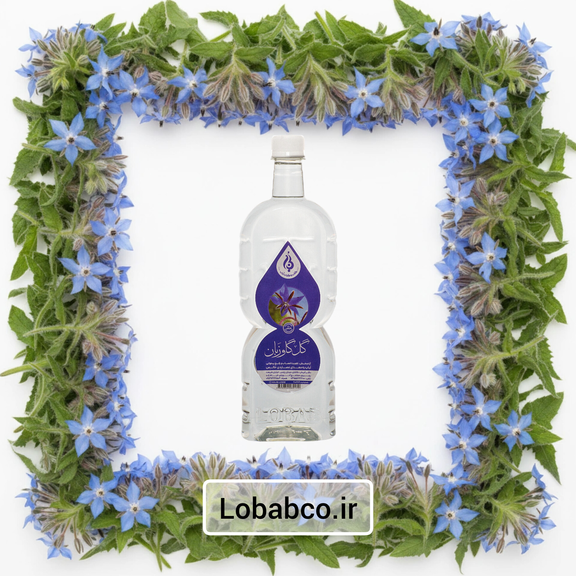 عرق گل گاو زبان سنگین لباب نشاط‌آور و آرام‌کننده قلب ـ Natural borage water by Lobab Kashan ـ relaxant for stress and anxiety relief
