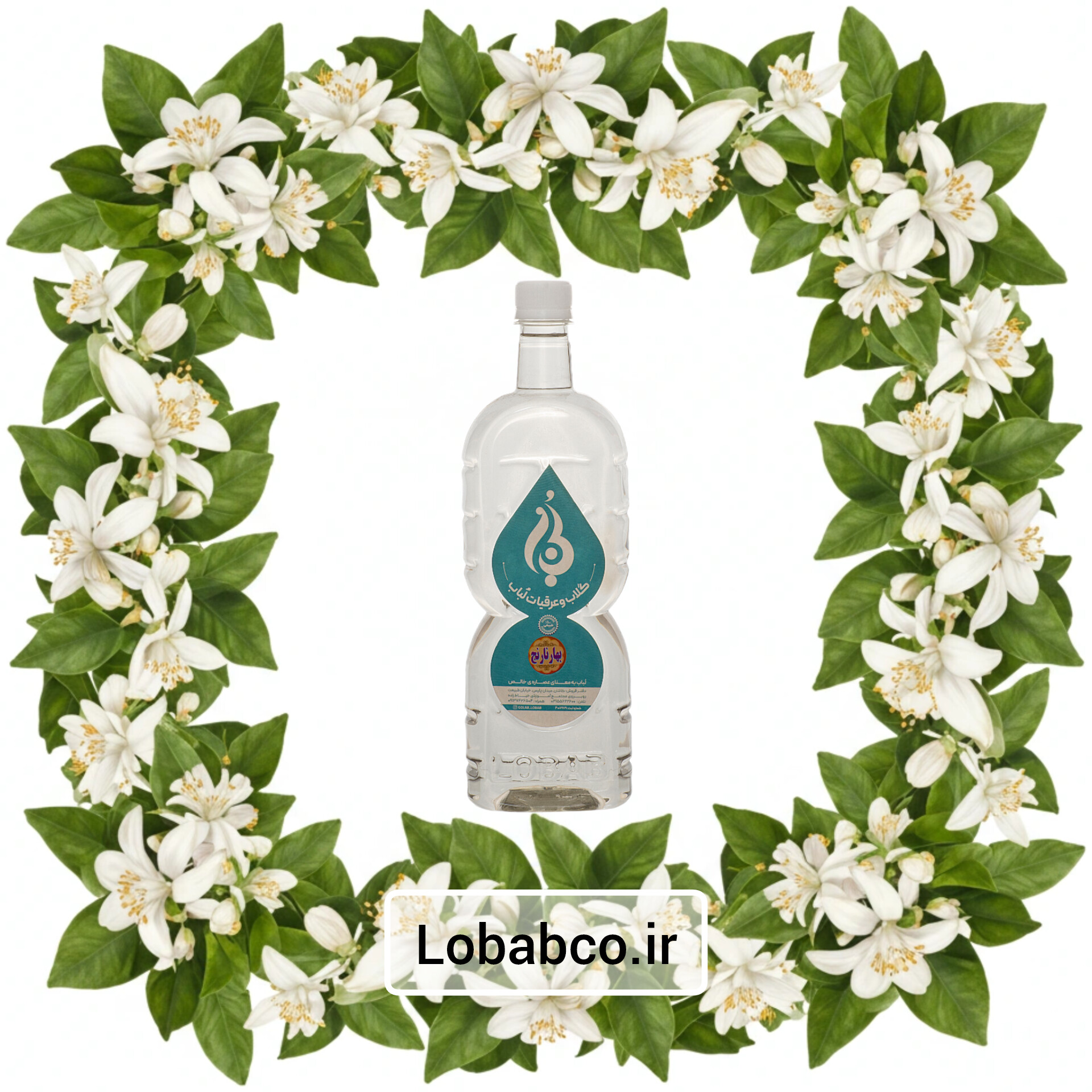 عرق گل بهار نارنج لباب تسکین‌دهنده استرس و دلشوره ـ Orange blossom floral distillate by Lobab ـ soothing herbal calm